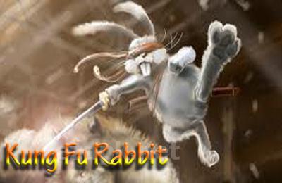 Kung Fu Rabbit