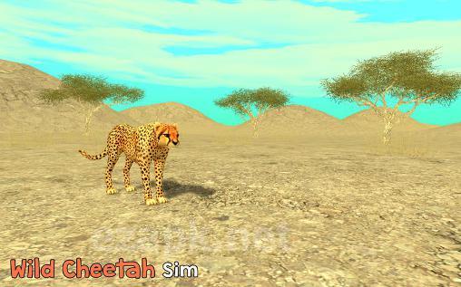 Wild cheetah sim 3D