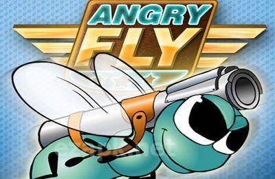 AngryFly