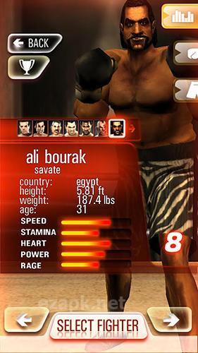 Iron fist boxing lite: The original MMA game