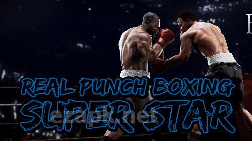 Real punch boxing super star: World fighting hero