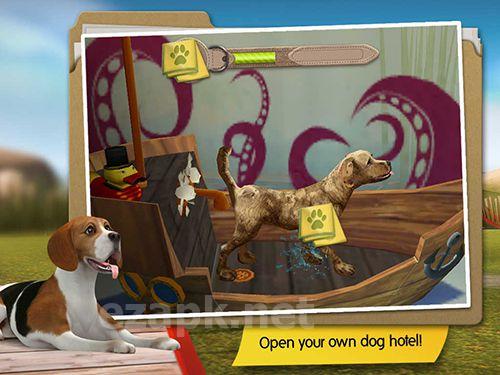 Dog hotel