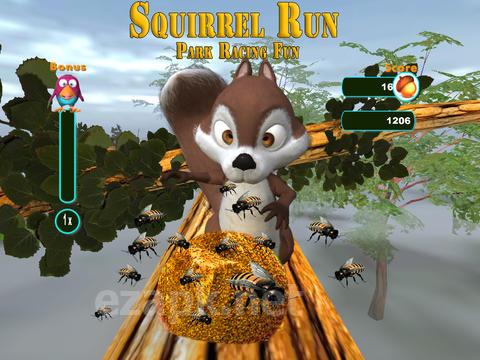 Squirrel Run