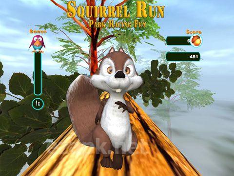 Squirrel Run