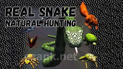 Real snake: Natural hunting