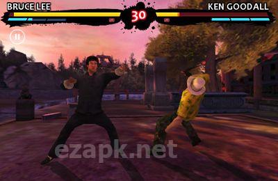 Bruce Lee Dragon Warrior