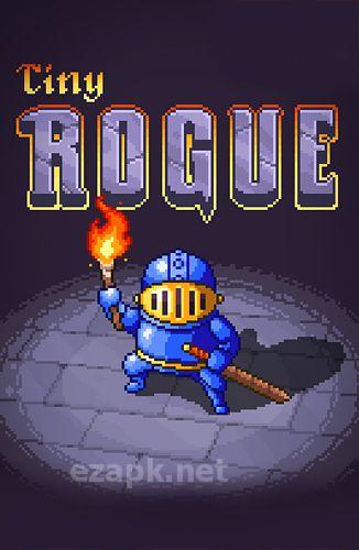 Tiny rogue