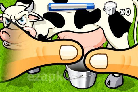 Milk the cow