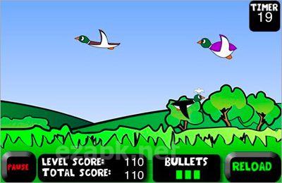 Duck Hunting