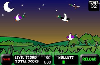 Duck Hunting