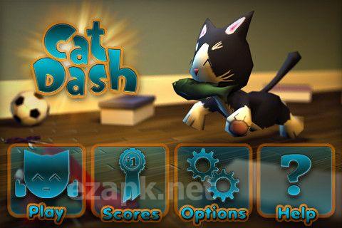 Cat Dash