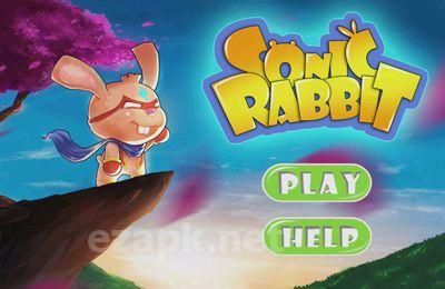 Sonics Rabbit