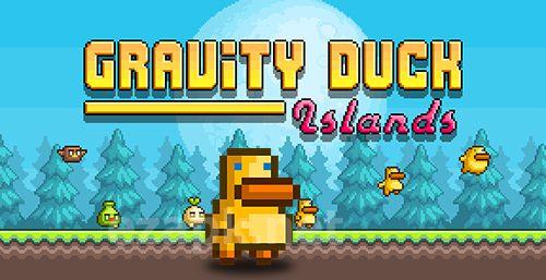 Gravity duck: Islands