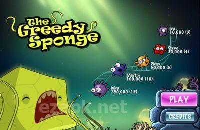 The Greedy Sponge