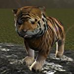 Real tiger cub simulator