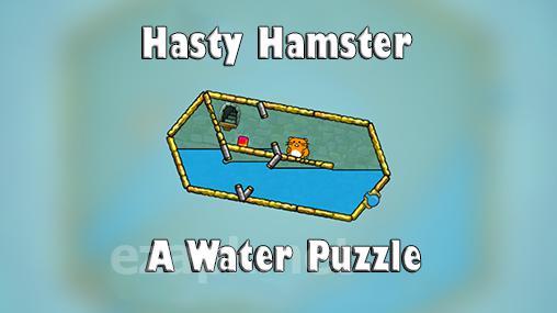 Hasty hamster and the sunken pyramid: A water puzzle