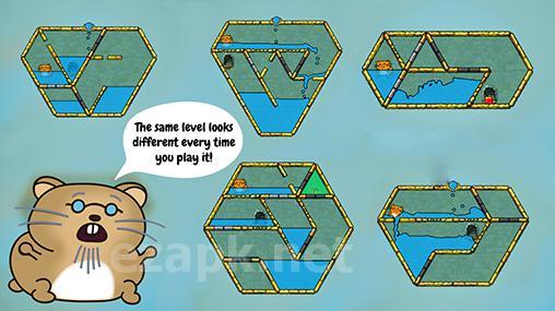 Hasty hamster and the sunken pyramid: A water puzzle