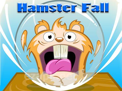 Hamster fall
