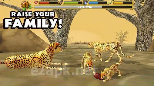 Cheetah simulator