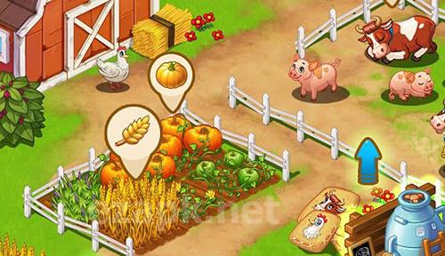 Summer tales: Farm and town