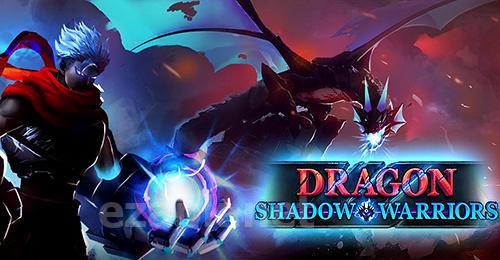 Dragon shadow warriors: Last stickman fight legend
