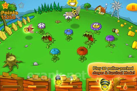 Bee farm