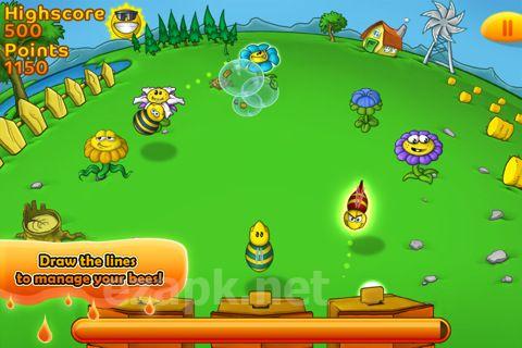 Bee farm