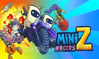 Mini Z Racers