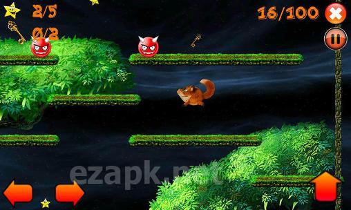 Jump! Jumpy fox