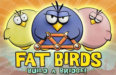 Fat Birds Build a Bridge!