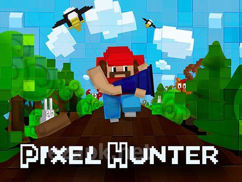 Pixel hunter