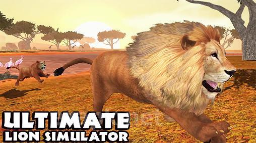 Ultimate lion simulator