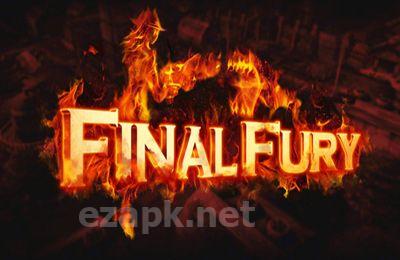 Final Fury Pro