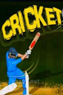 Cricket Game