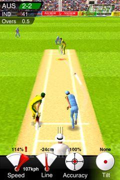 Cricket Game