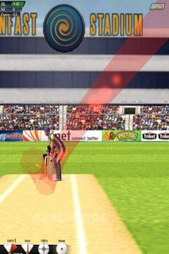 Cricket Game