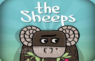 the Sheeps
