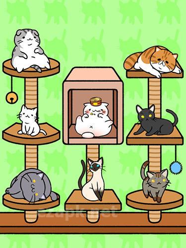 Cat condo