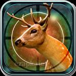Deer hunting 2018
