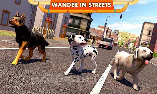Street dog simulator 3D