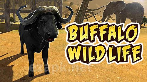 Buffalo sim: Bull wild life