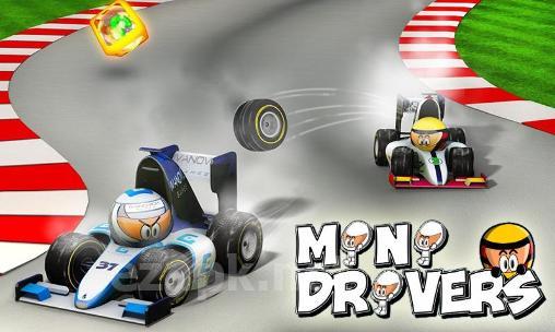 Minidrivers
