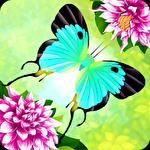 Flutter: Butterfly sanctuary
