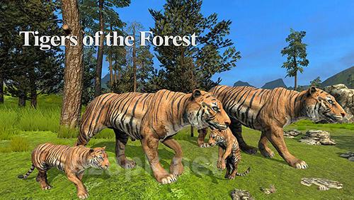 Tigers of the forest