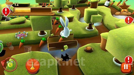 Bunny maze 3D
