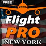 Pro flight simulator NY