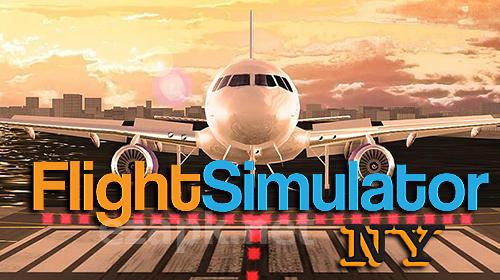 Pro flight simulator NY