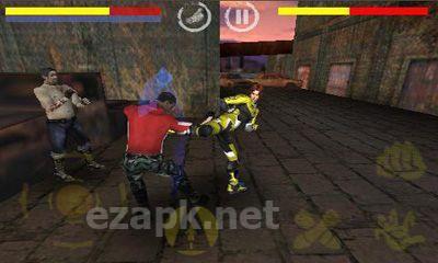 Fighting Tiger 3D