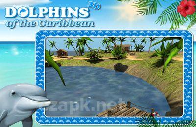 Dolphins of the Caribbean - Adventure of the Pirate’s Treasure