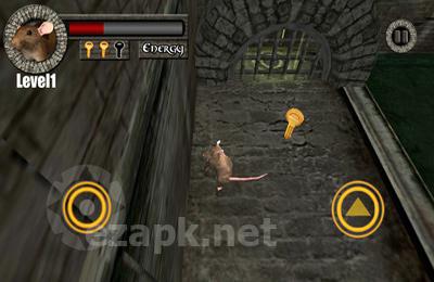 Sewer Rat Run 3D! Plus